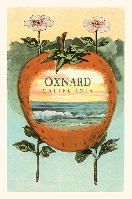 Couverture_The Vintage Journal Strawberry with Ocean Scene Inside, Oxnard, California
