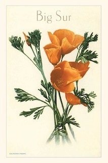 Front cover_The Vintage Journal California Poppy, Big Sur