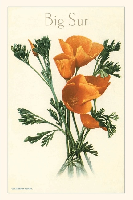 Front cover_The Vintage Journal California Poppy, Big Sur