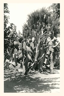 Couverture_Vintage Journal Spineless Cactus, Burbank Garden