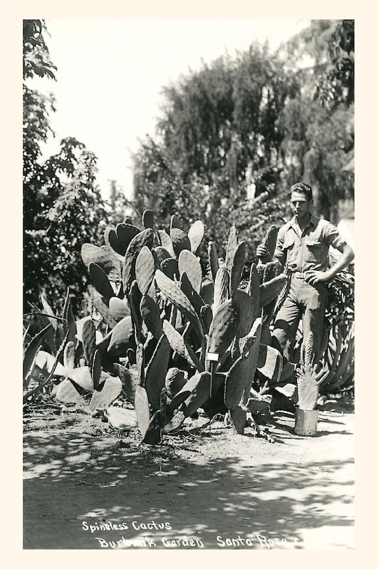 Couverture_Vintage Journal Spineless Cactus, Burbank Garden