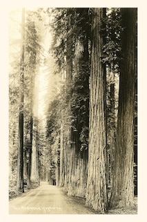 Front cover_Vintage Journal The Redwood Highway