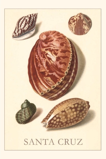 Front cover_Vintage Journal Santa Cruz Shells