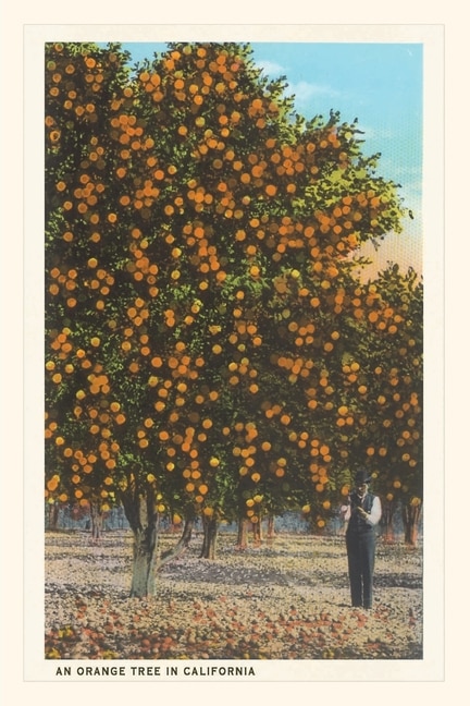 Front cover_Vintage Journal Orange Grove