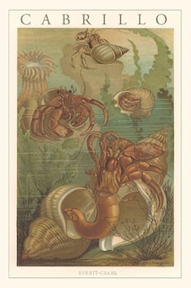 Front cover_Vintage Journal Cabrillo, Hermit Crabs