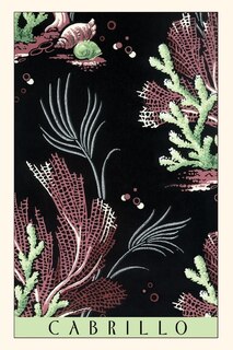 Couverture_Vintage Journal Cabrillo, Kelp Beds
