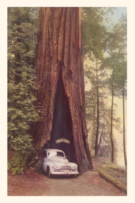 Front cover_Vintage Journal Redwood and Old Car