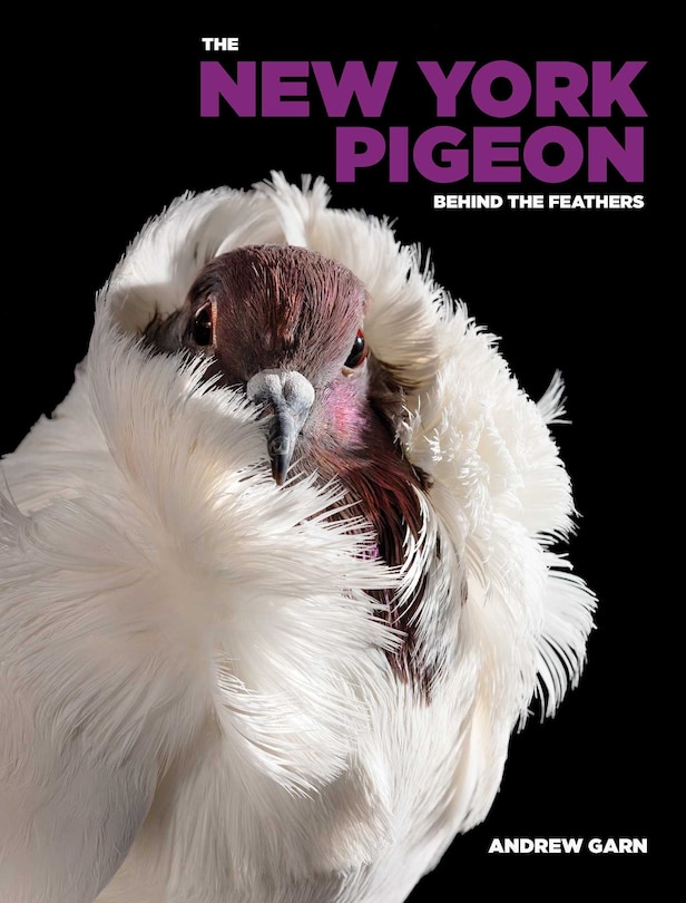 Front cover_The New York Pigeon
