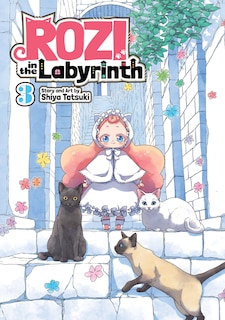 Front cover_Rozi In The Labyrinth Vol. 3