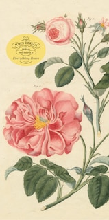 Front cover_John Derian Paper Goods: Everything Roses Notepad