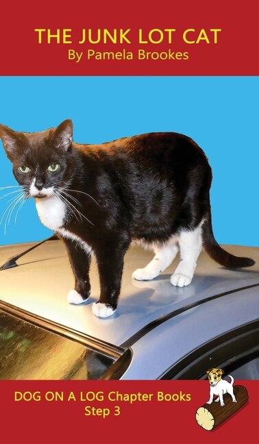Couverture_The Junk Lot Cat Chapter Book