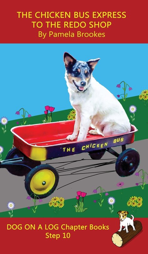 Couverture_The Chicken Bus Express to the Redo Shop Chapter Book
