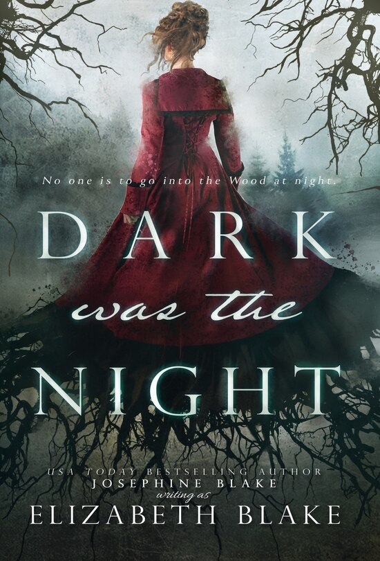 Front cover_Dark was the Night