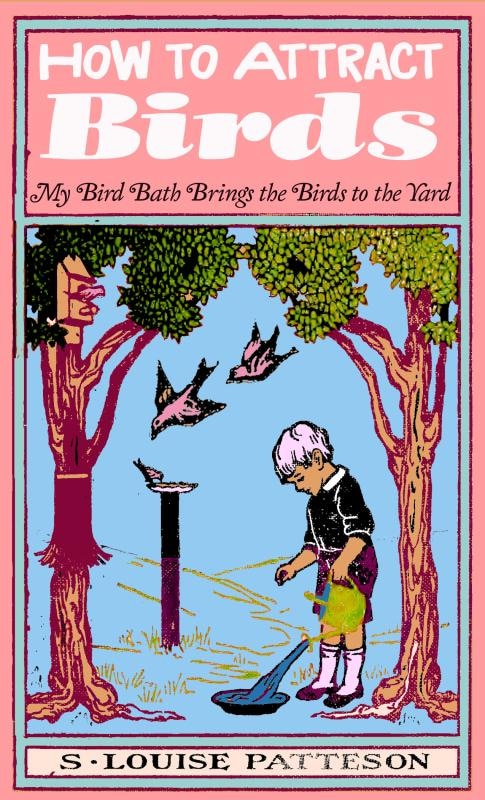 Couverture_How to Attract Birds: My Bird Bath Brings the Birds to the Yard