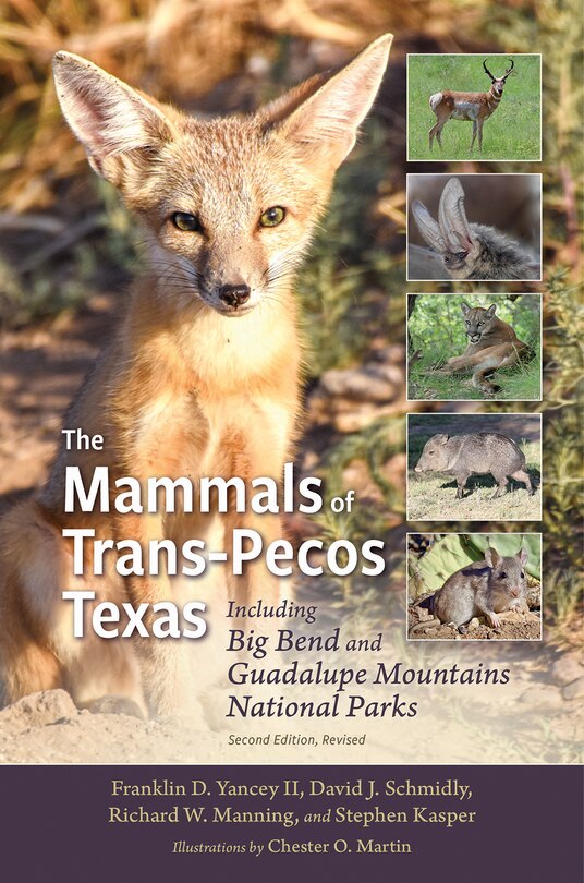 Couverture_The Mammals of Trans-Pecos Texas