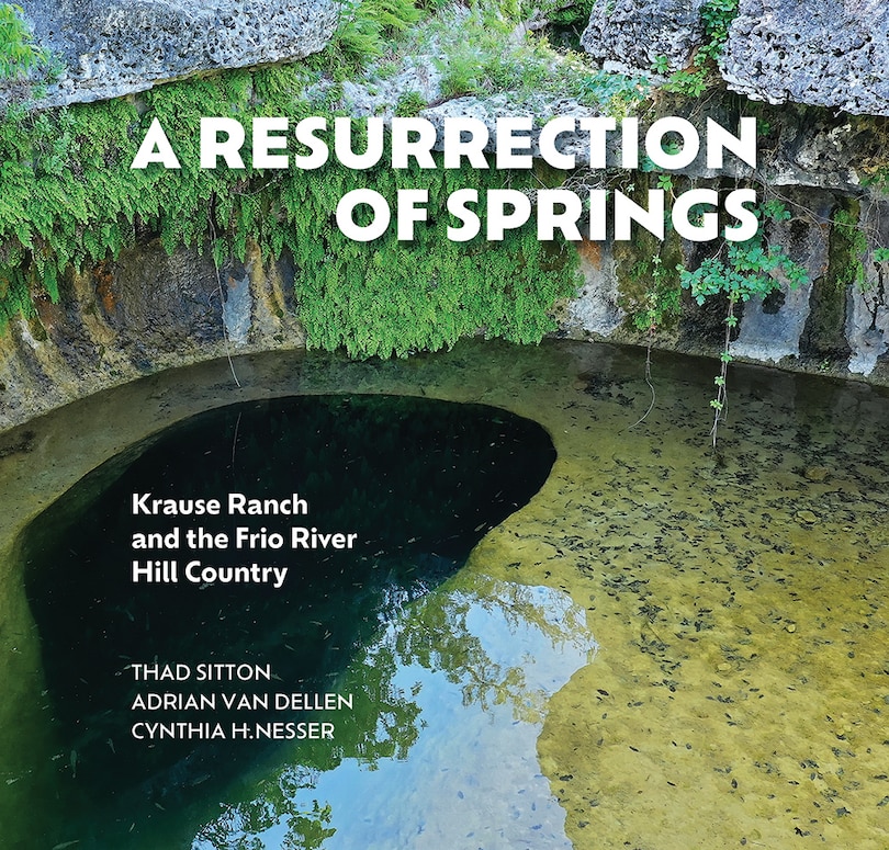 Couverture_A Resurrection of Springs