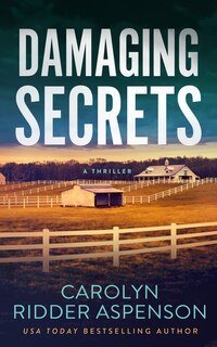 Front cover_Damaging Secrets