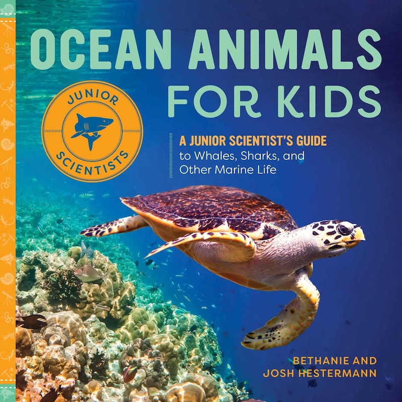 Front cover_Ocean Animals for Kids