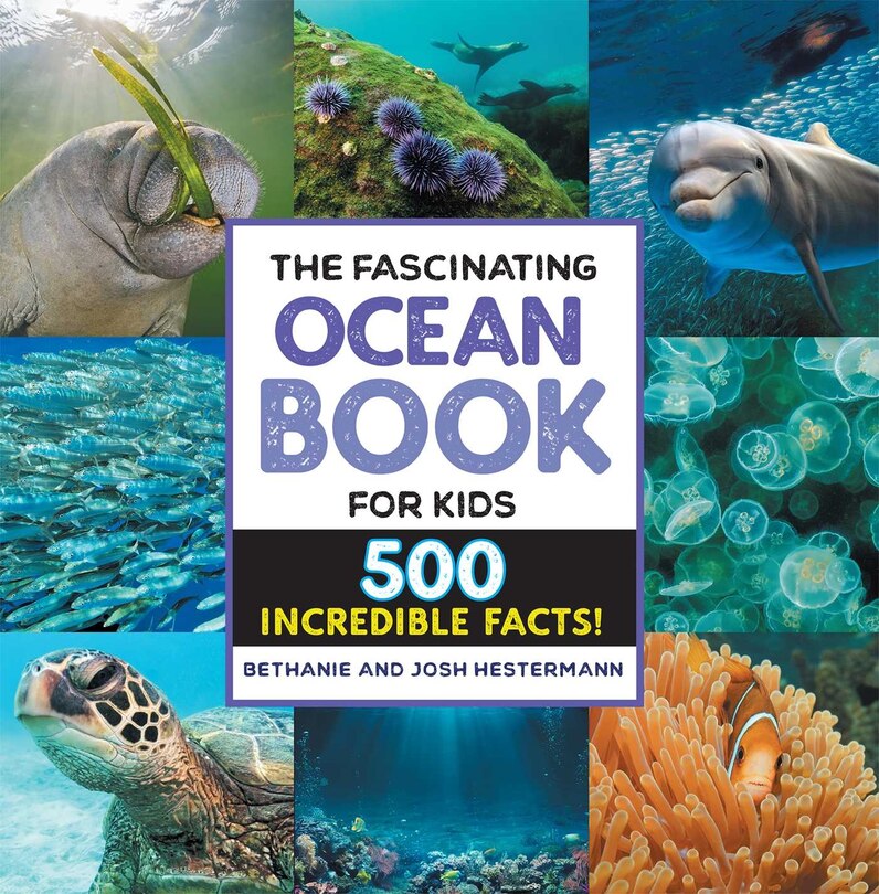 Couverture_The Fascinating Ocean Book For Kids