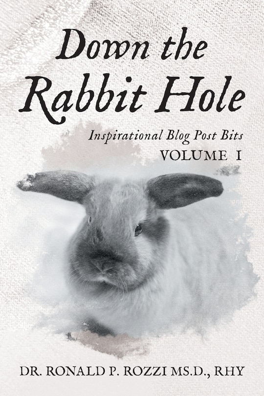 Down the Rabbit Hole: Inspirational Blog Post Bits Volume 1