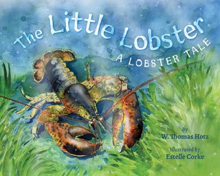 Front cover_The Little Lobster