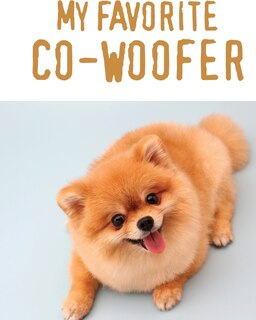 Couverture_My Favorite Co-Woofer