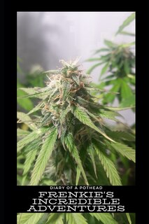 Front cover_Diary of a Pothead