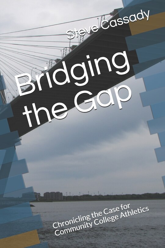 Couverture_Bridging the Gap