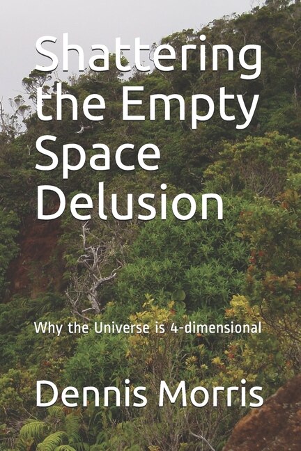 Couverture_Shattering the Empty Space Delusion
