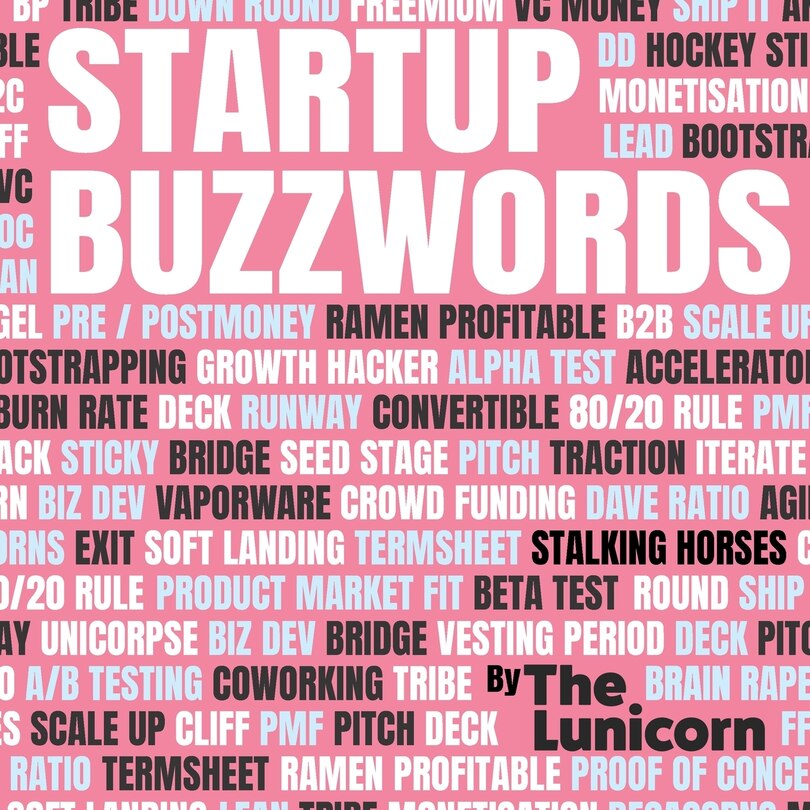 Front cover_Startup Buzzwords