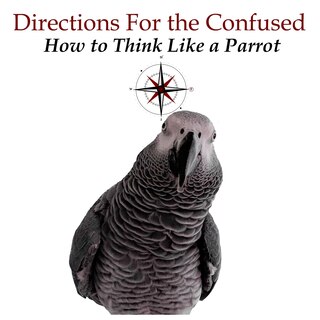 Couverture_Directions For The Confused