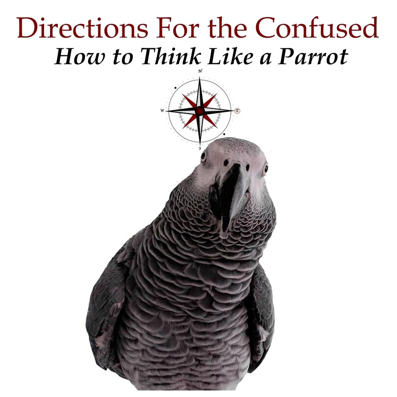 Couverture_Directions For The Confused