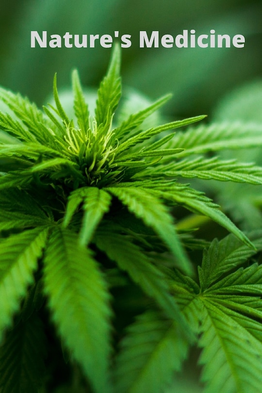 Front cover_Nature's Medicine