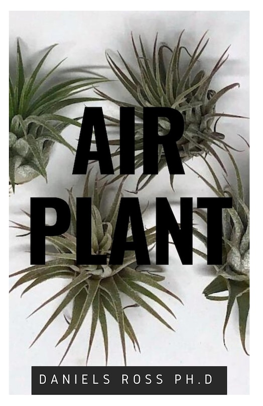 Front cover_Air Plant
