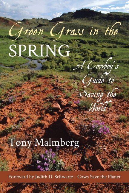 Front cover_Green Grass in the Spring
