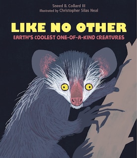 Front cover_Like No Other
