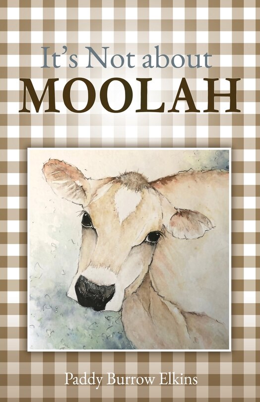 Couverture_It's Not about MOOLAH
