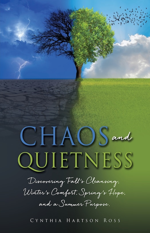 Couverture_Chaos and Quietness