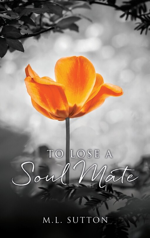 Front cover_To Lose a Soul Mate