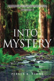 Couverture_Into Mystery