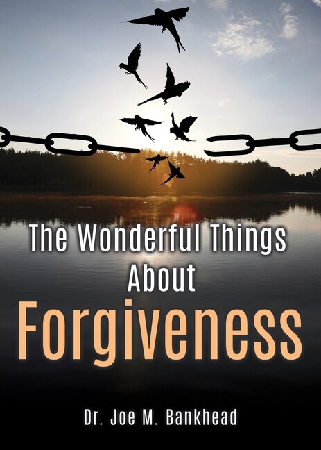 Couverture_The Wonderful Things About Forgiveness