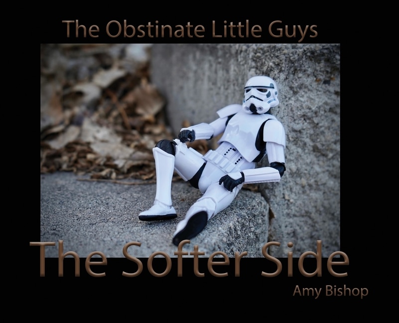 Front cover_The Softer Side