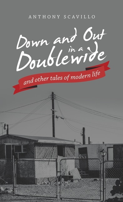 Couverture_Down and out in a Doublewide and Other Tales of Modern Life