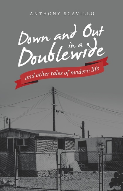 Couverture_Down and out in a Doublewide and Other Tales of Modern Life