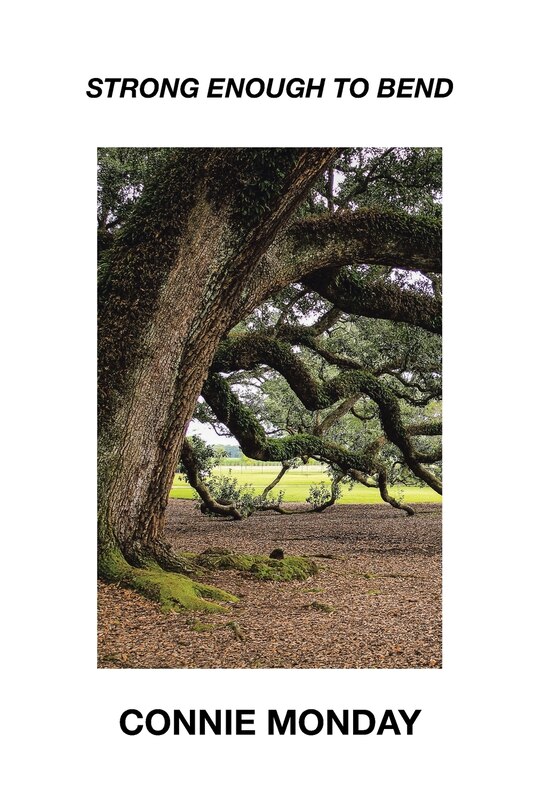 Front cover_Strong Enough To Bend