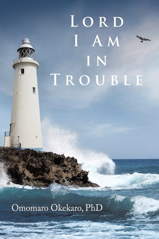 Front cover_Lord I Am in Trouble
