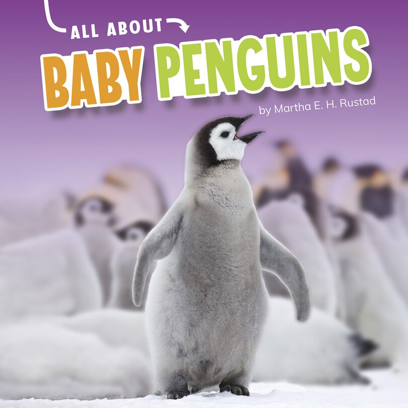 All About Baby Penguins