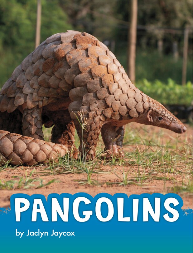 Couverture_Pangolins