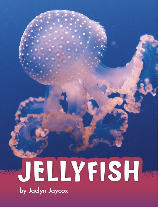 Front cover_Jellyfish