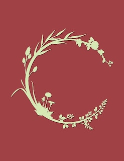 Front cover_Ready Set Cook